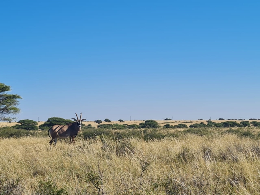 Commercial Property for Sale in Boshof Rural Free State